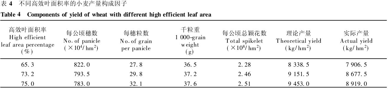 表4　葉麵積測量儀測量不同高效葉麵積率的小麥產量構成因子