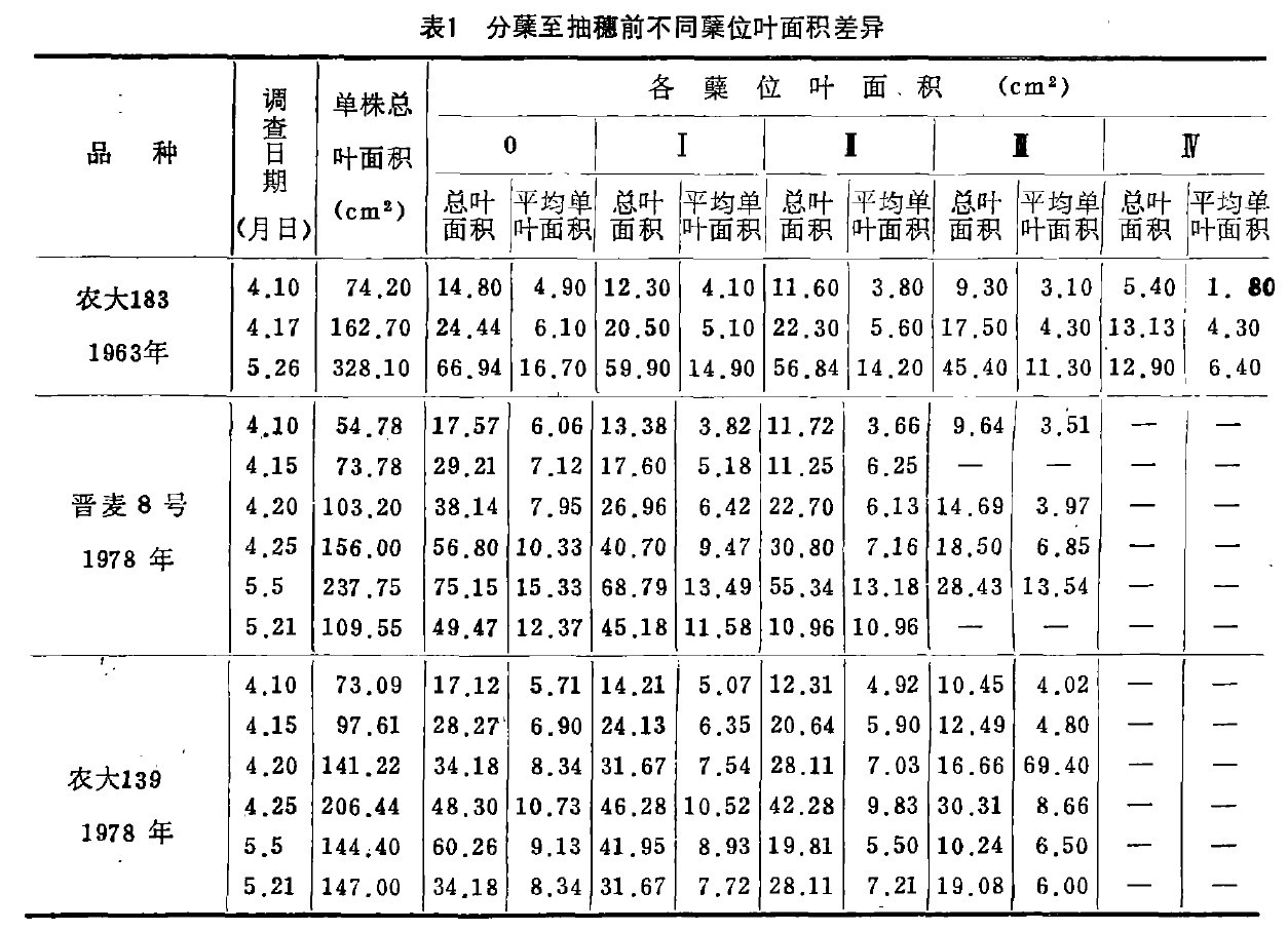 表1  分蘖至抽穗前不同蘖位葉麵積差異