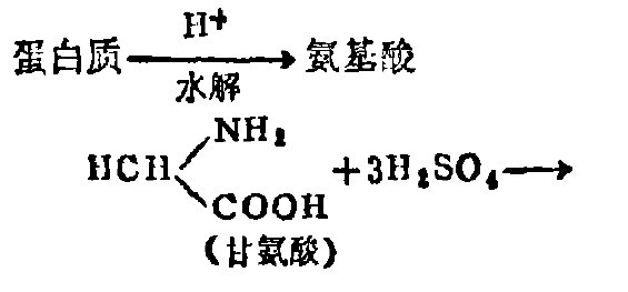蛋白質在硫酸作用毛分解成氨基酸。氨基酸繼續分解生成氨，氨與硫酸結合形成硫酸鉸（1）