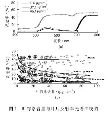 圖1　葉綠素含量與葉片反射率光譜曲線圖