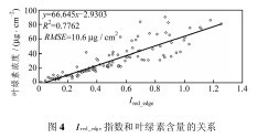 圖4　Ired_edge指數和葉綠素含量的關係