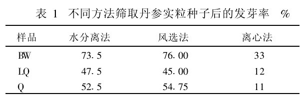 表1　不同方法篩取丹參實粒種子後的發芽率%