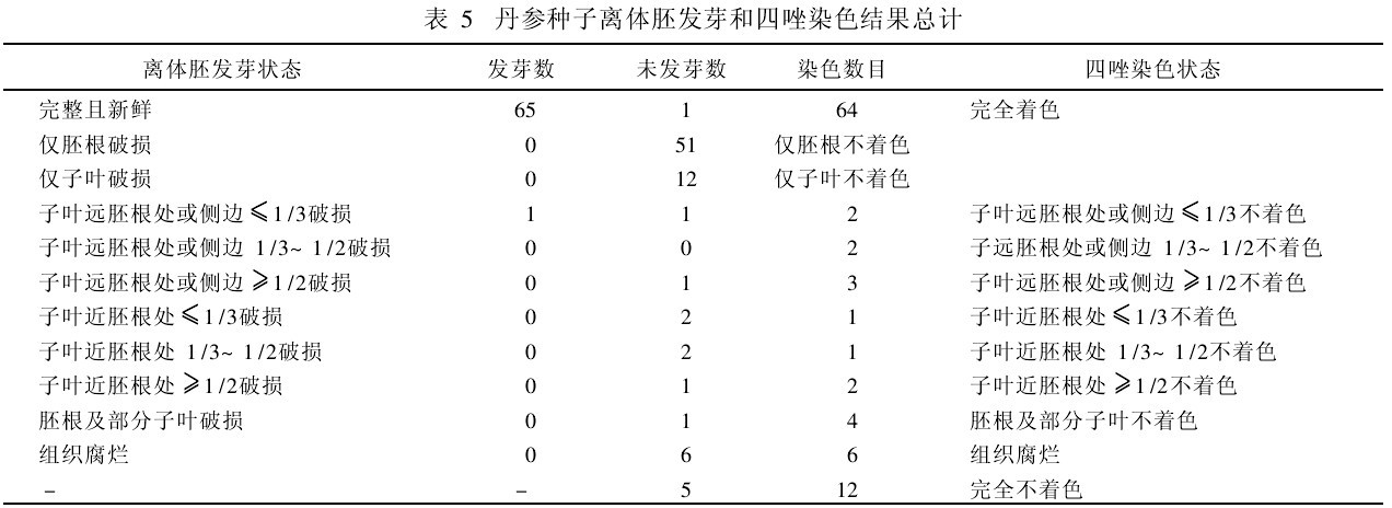 表5　丹參種子離體胚發芽和四唑染色結果總計