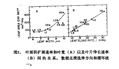 圖2.葉麵積擴展速率和葉寬(A)以及葉片伸長速率(B)間的關係。數據點按選擇方向和循環統一