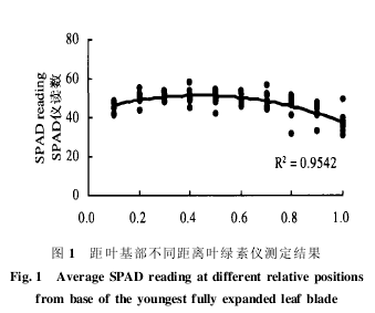距葉基部不同距離葉綠素儀測定結果
