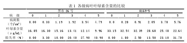 表 1 各級病葉葉綠素含量的比較