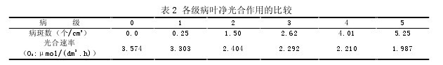 表 2 各級病葉淨光合作用的比較