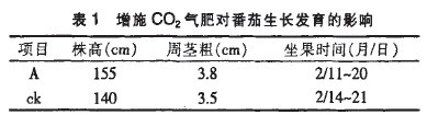 表1 增施CO2氣肥對番茄生長發育的影響