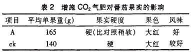 表2 增施C02氣肥對番茄果實的影響
