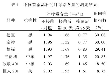 表1　不同苜蓿品種的葉綠素含量的測定結果
