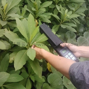 手持活體葉麵積測量儀